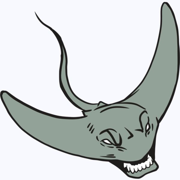 AR19 STINGRAY 05 RQC Thumbnail