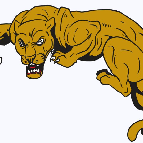 AR10 PANTHER 02 RQC Thumbnail