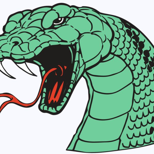 AR SNAKE 10 RC Thumbnail