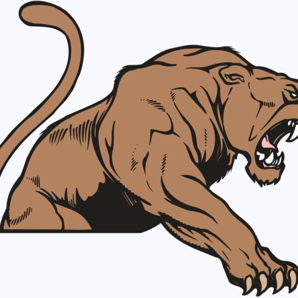 AR COUGAR 55 RC Thumbnail