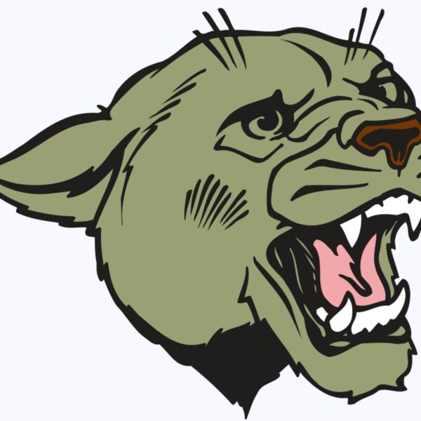 AR COUGAR 40 RC Thumbnail