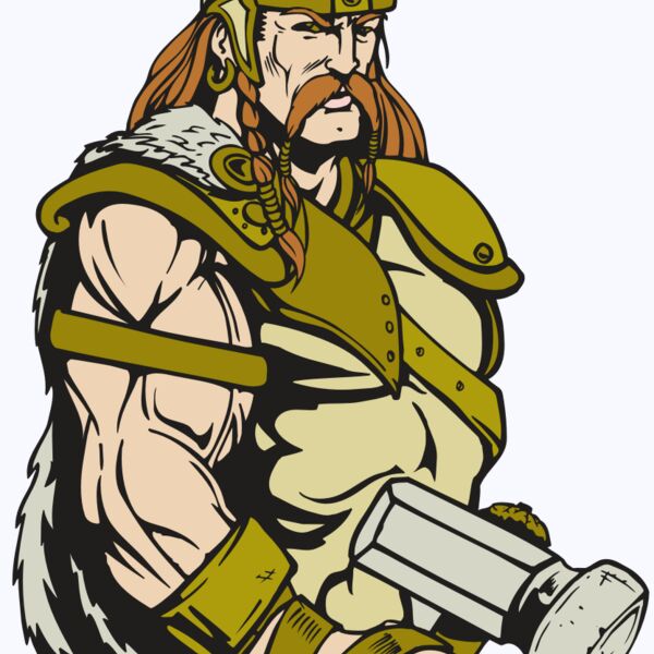 AR VIKING 38 RC Thumbnail