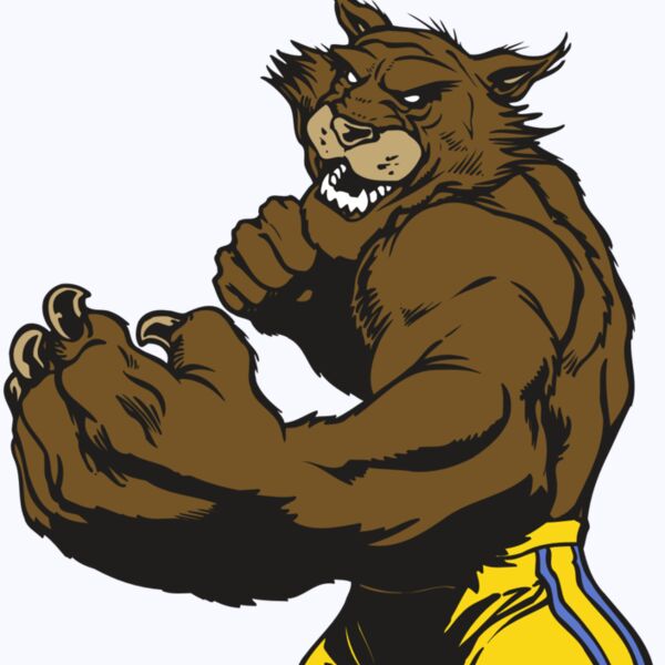 AR WILDCAT 48 RC Thumbnail