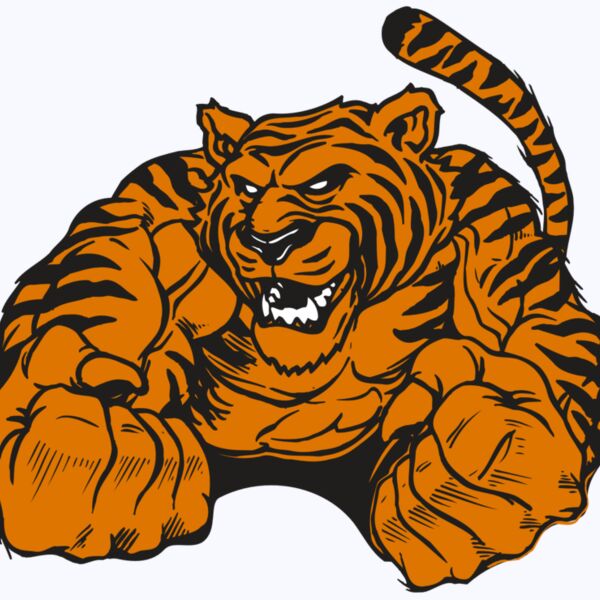 AR TIGER 55 RC Thumbnail