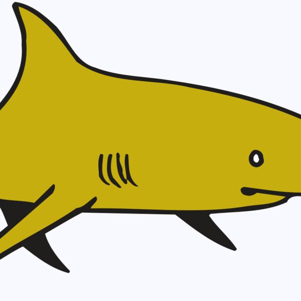 AR  SHARK 30 RC Thumbnail