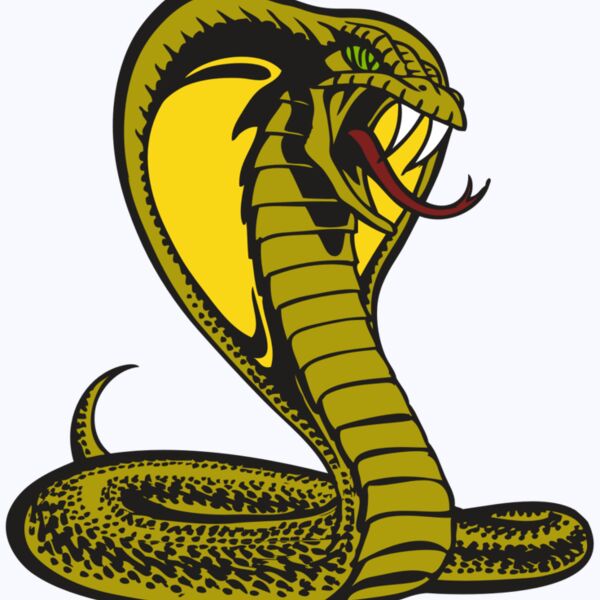 BAW SNAKE 02 RC Thumbnail