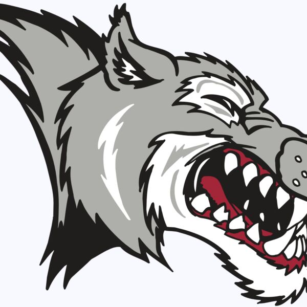 AR WOLF 15 RC Thumbnail