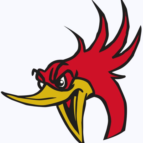 AR31 ROADRUNNER 02 RQC Thumbnail