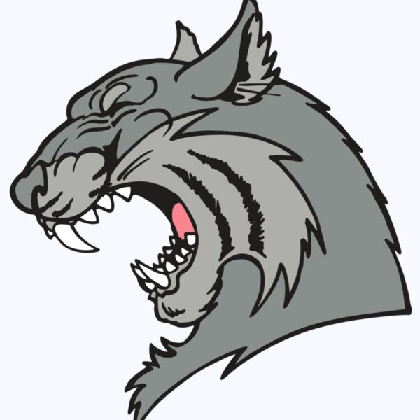 AR WILDCAT 41 RC Thumbnail