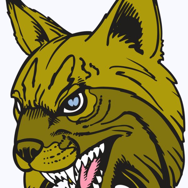 BAW BOBCAT 05 RC Thumbnail