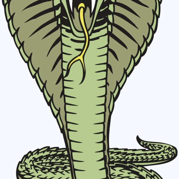 BAW SNAKE 15 RC Thumbnail