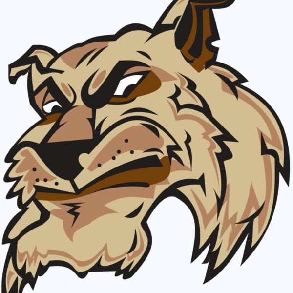 WILDCAT HD0501 RQC Thumbnail