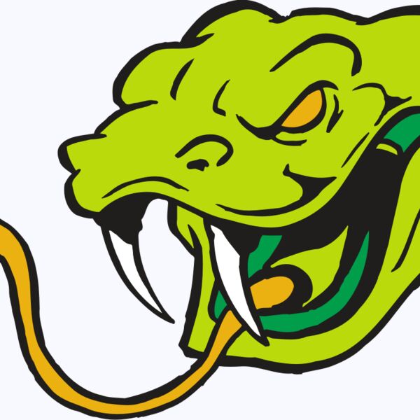 AR SNAKE 11 RC Thumbnail