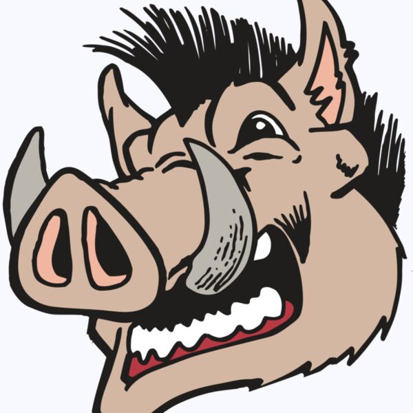 AR RAZORBACK 18 RC Thumbnail