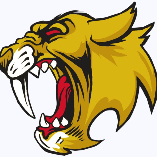 AR30 SABER 04 RQC Thumbnail