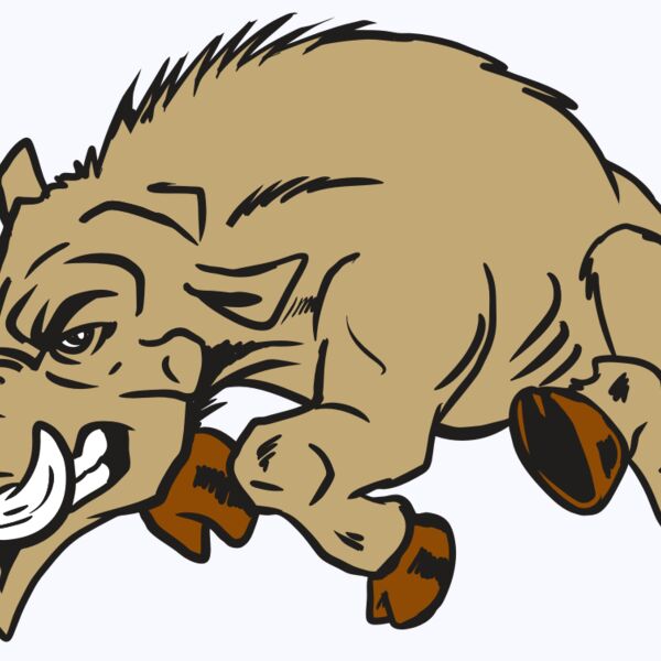 AR20 RAZORBACK 37 RQC Thumbnail