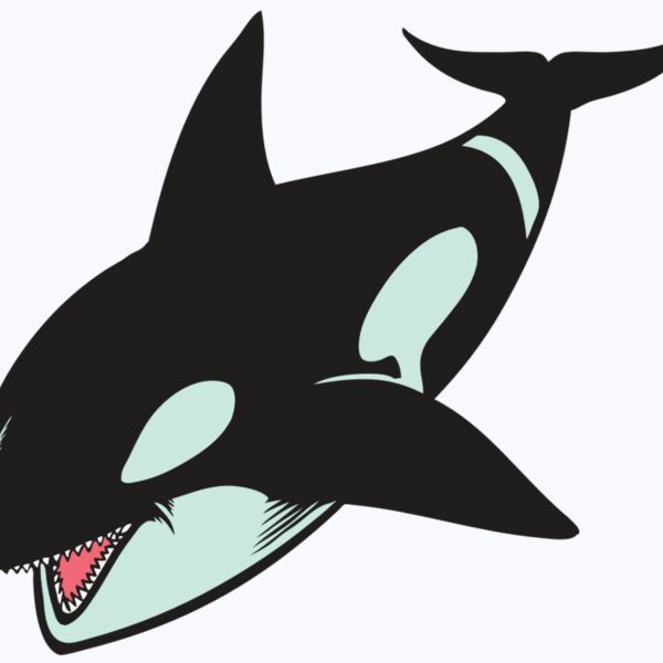 BAW KLRWHALE 02 RC Thumbnail