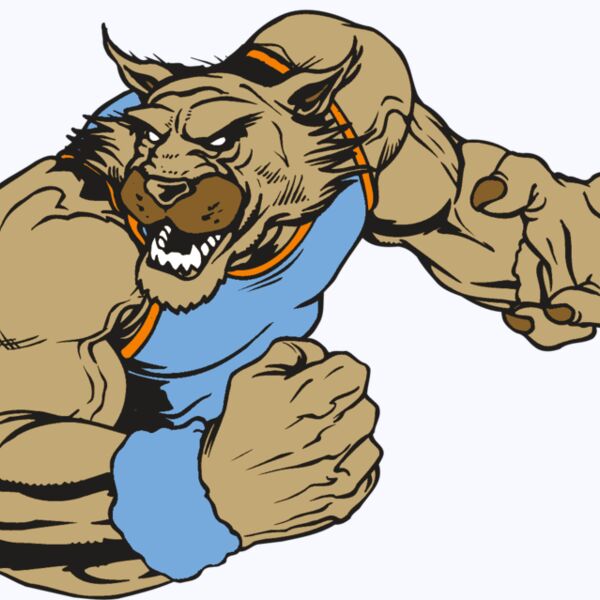 AR WILDCAT 46 RC Thumbnail