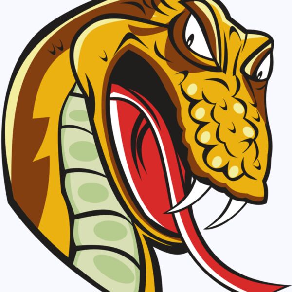 SNAKE HD0502 RQC Thumbnail