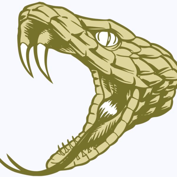 BAW SNAKE 11 RC Thumbnail