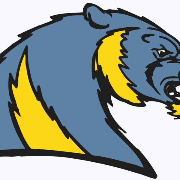 AR5 Wolverine 20 RQC Thumbnail