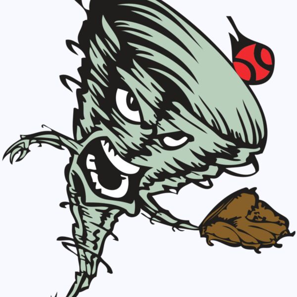 BAW STORM 09 RC Thumbnail