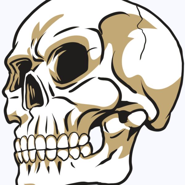 AR24 SKULL 08 RQC Thumbnail