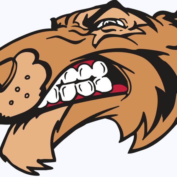 AR5 Tiger 13 RQC Thumbnail