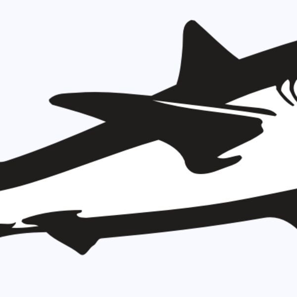 AR5 Shark 15 RQC Thumbnail