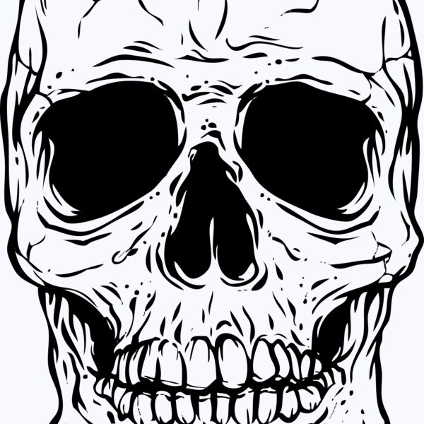 Skull Thumbnail